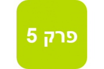 ניהול מותגים